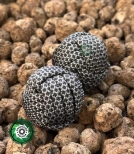 Antystresowa zabawka do dłoni. Baoding Ręcznie wykonane kule medytacyjne | Narzędzie do relaksu i redukcji stresu