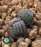 Antystresowa zabawka do dłoni. Baoding Ręcznie wykonane kule medytacyjne | Narzędzie do relaksu i redukcji stresu