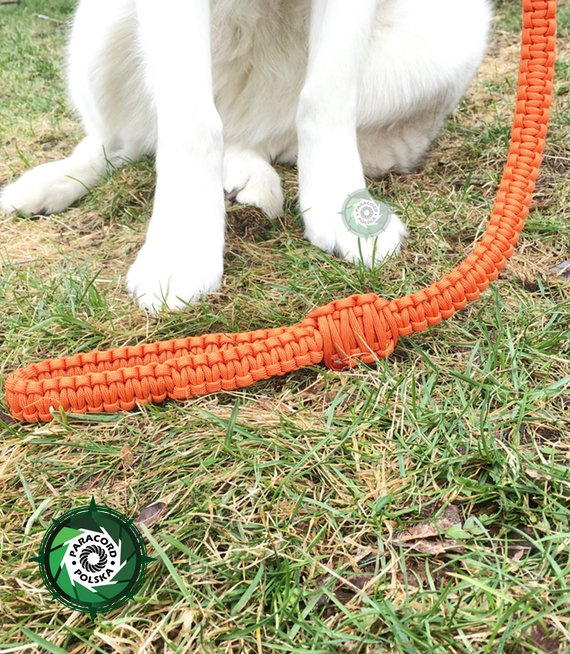 Smycz dla Psa z Paracordu 550 o splocie "Cobra", wpleciona metalowa klamra z mechanizmem sprężynowym